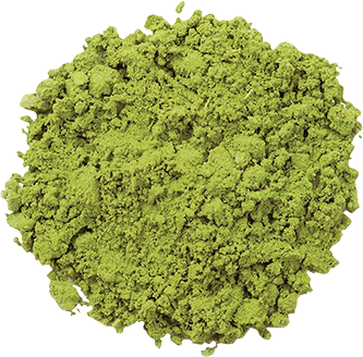 Matcha Powder